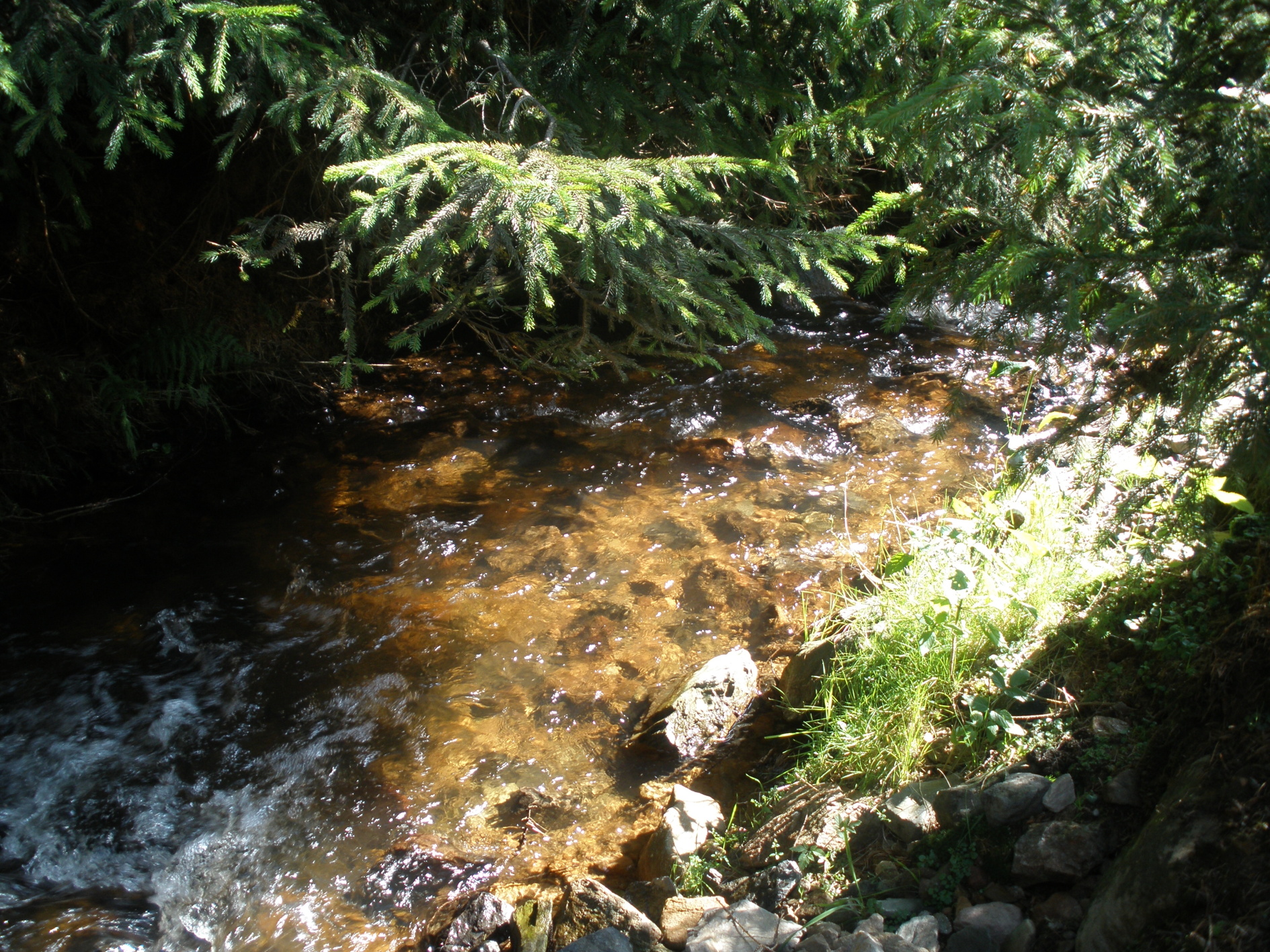 P8030156